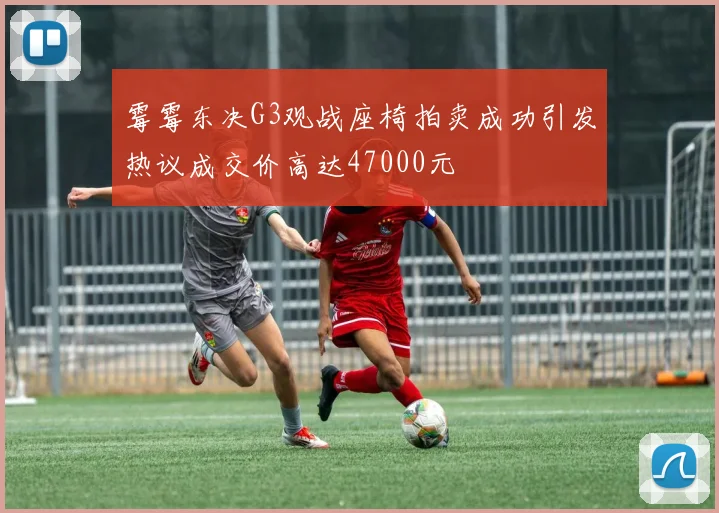 霉霉东决G3观战座椅拍卖成功引发热议成交价高达47000元