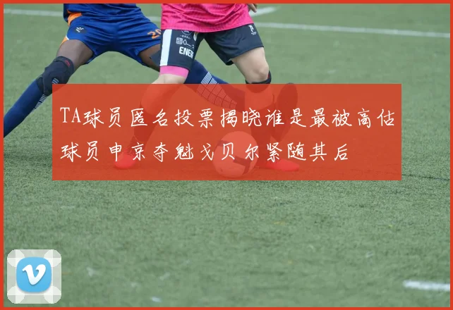 TA球员匿名投票揭晓谁是最被高估球员申京夺魁戈贝尔紧随其后