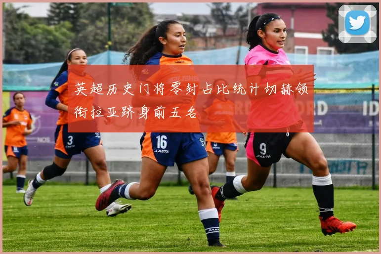 英超历史门将零封占比统计切赫领衔拉亚跻身前五名