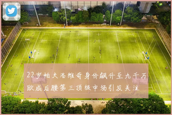 22岁帕夫洛维奇身价飙升至九千万欧成后腰第三顶级中场引发关注